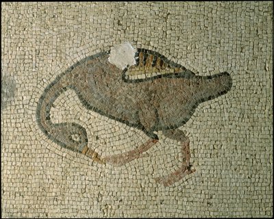Pavimento di una basilica da Roman